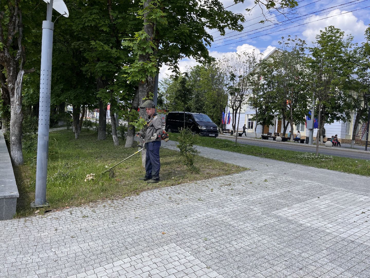 Шаховская, покос, трава