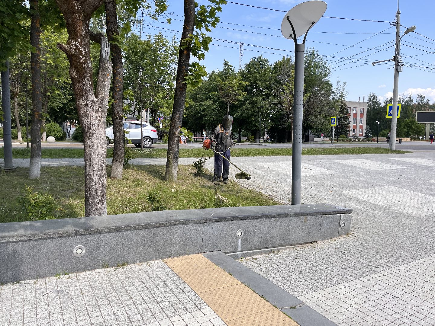 Шаховская, покос, трава