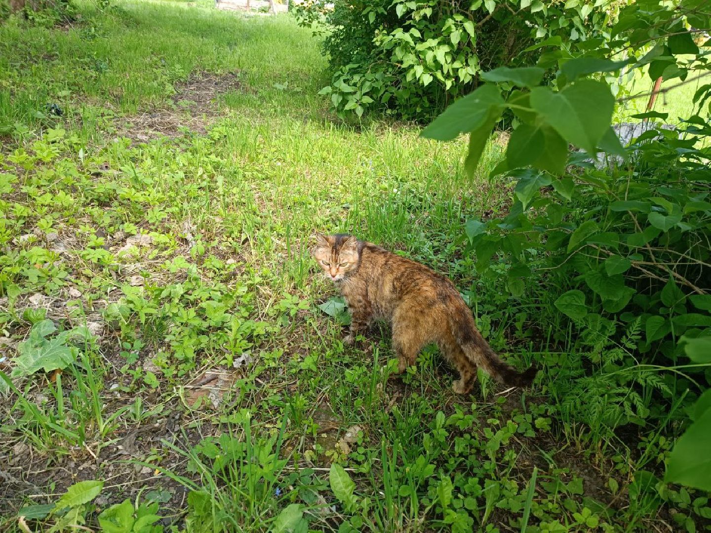 Можайск, Можайский городской округ, Подмосковье, благоустройство, дворовые территории, федеральный проект, работы, Добродел, голосование, жители