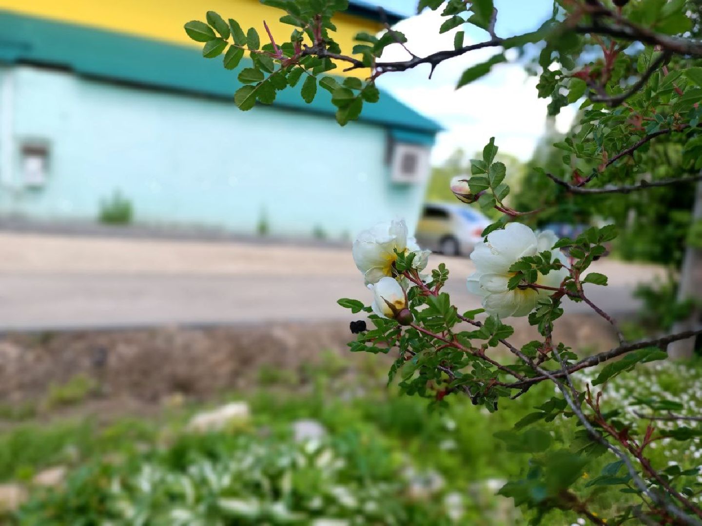 Можайск, Можайский городской округ, Подмосковье, благоустройство, дворовые территории, федеральный проект, работы, Добродел, голосование, жители