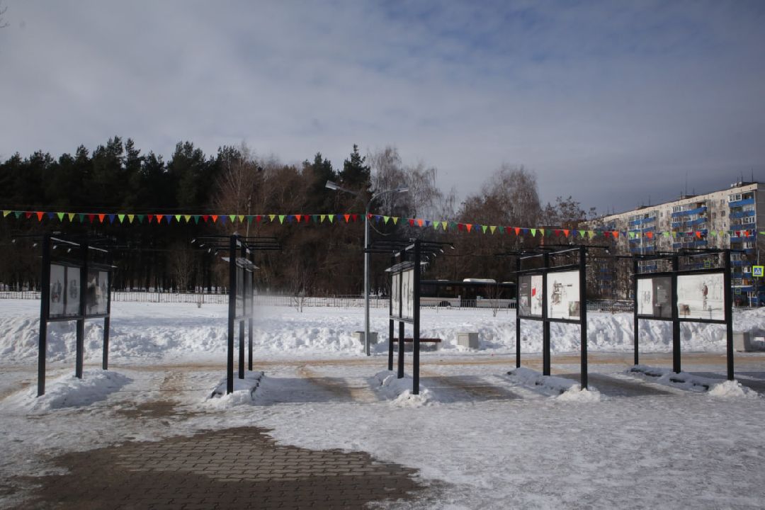 Спецоперация, Пущино, выставка