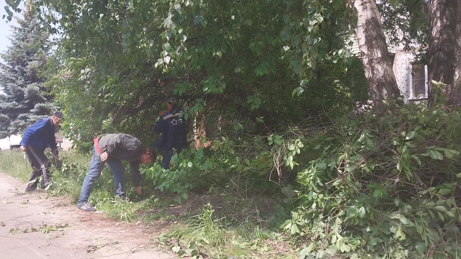 коломна, благоустройство, дгх