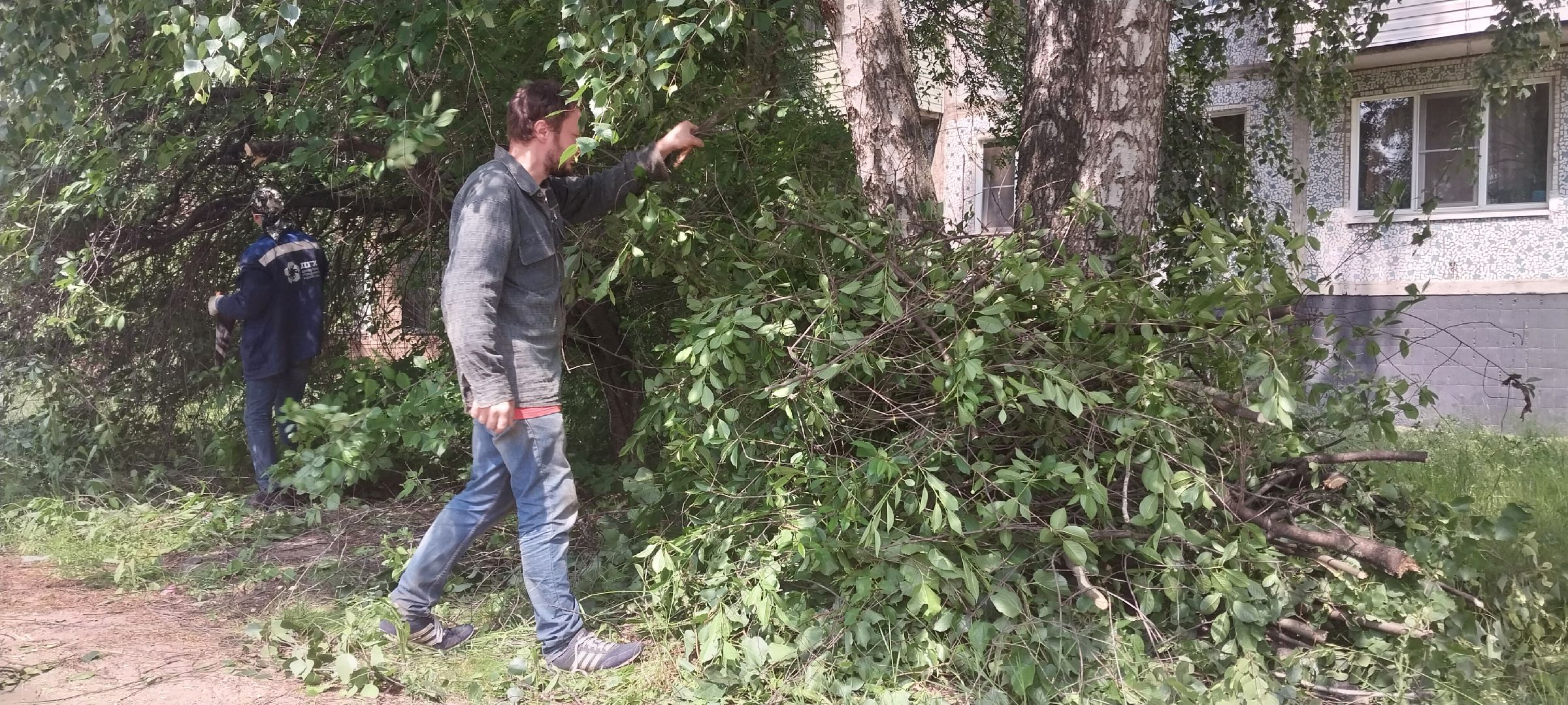 коломна, благоустройство, дгх