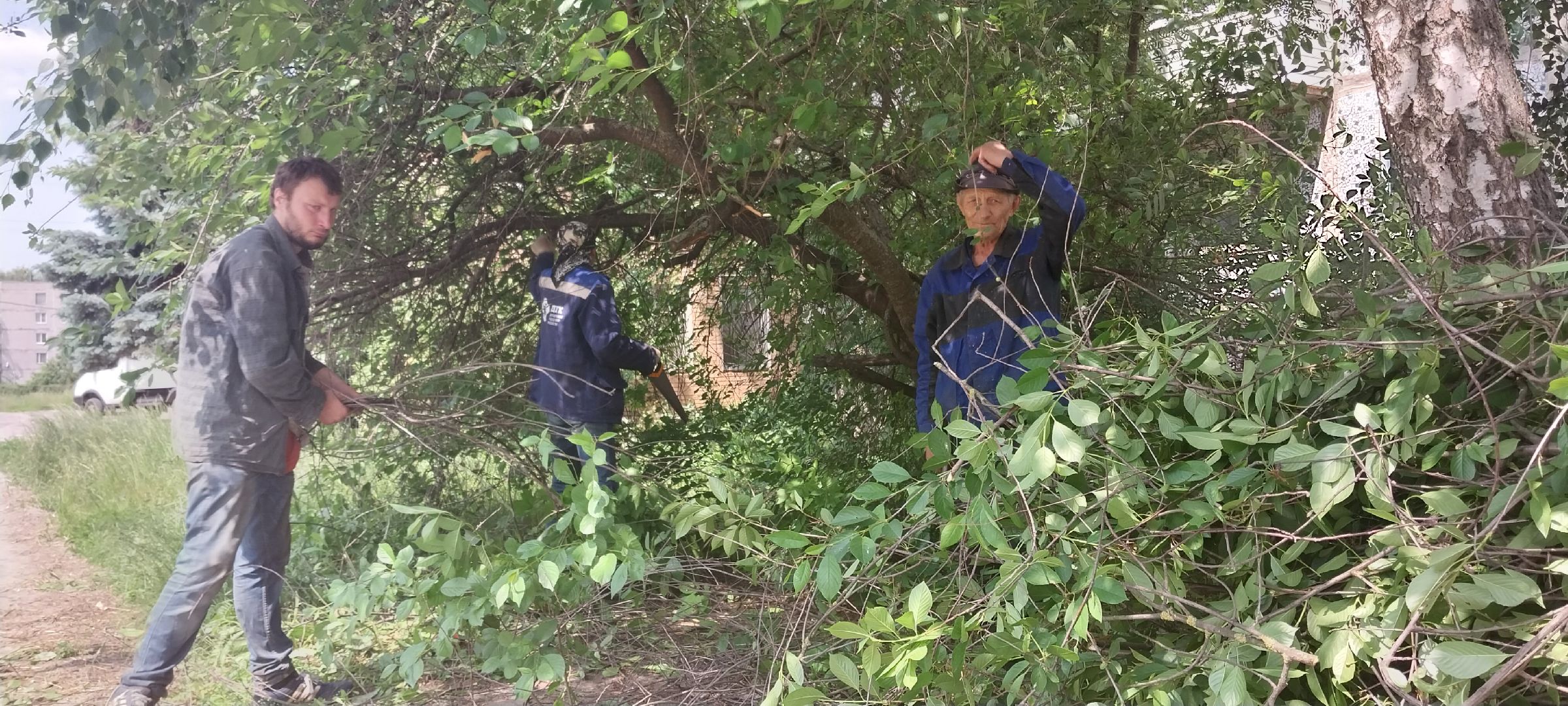 коломна, благоустройство, дгх