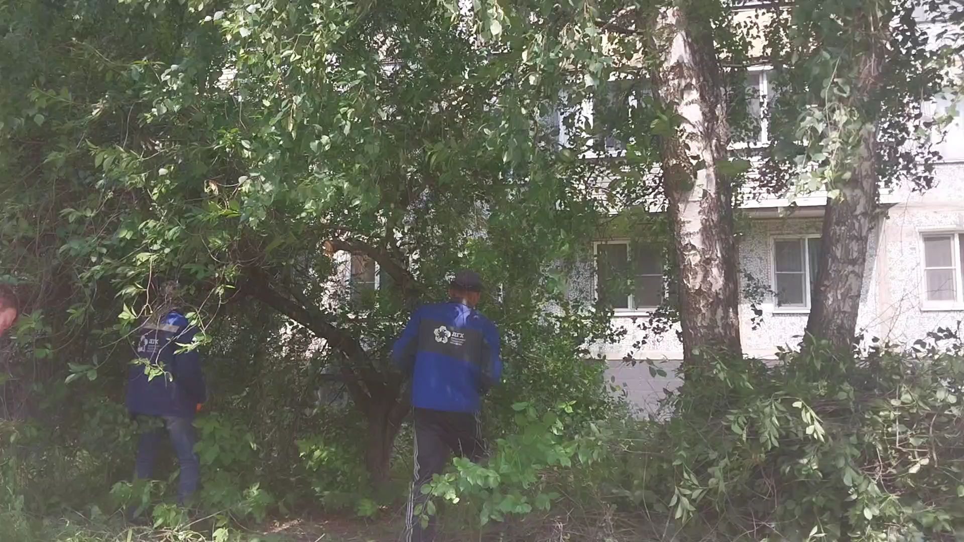 коломна, благоустройство, дгх