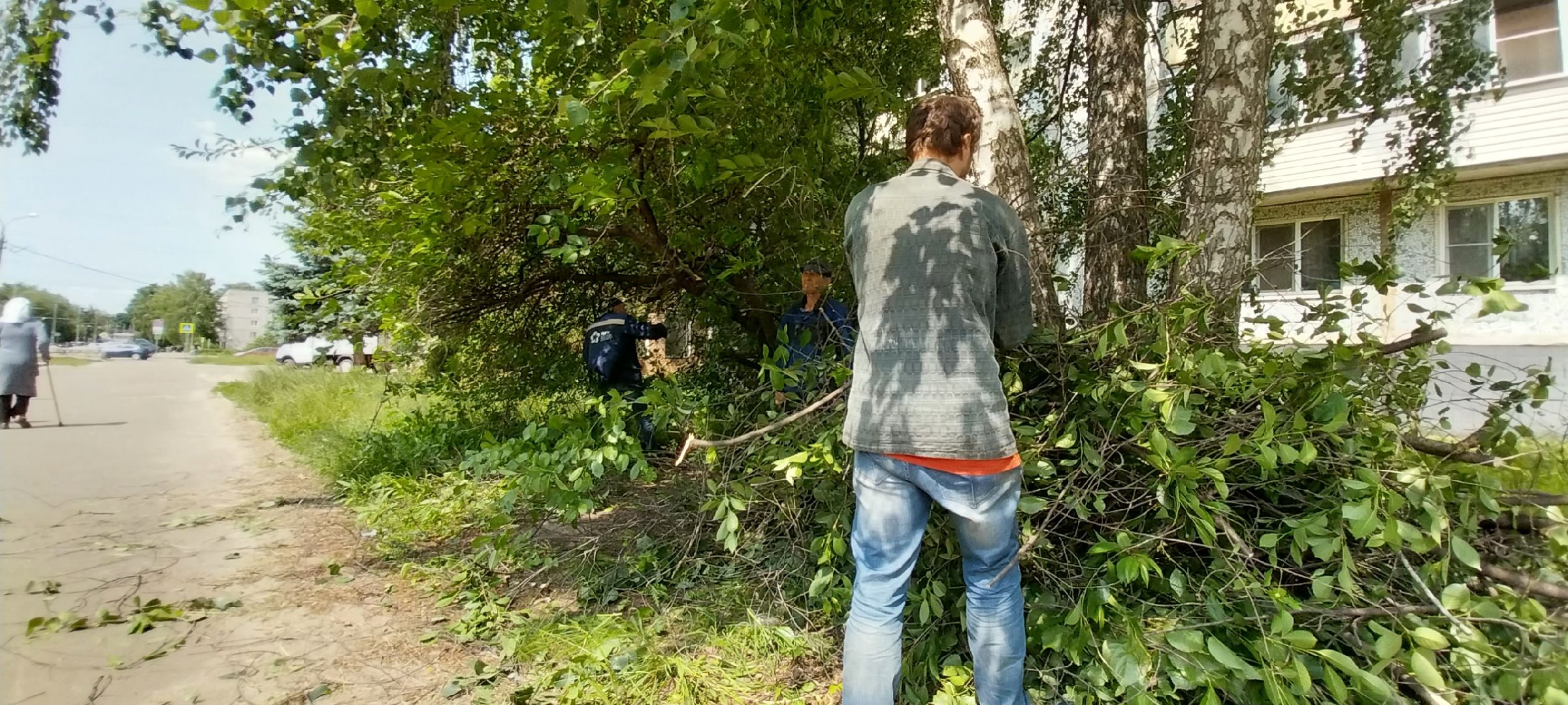 коломна, благоустройство, дгх