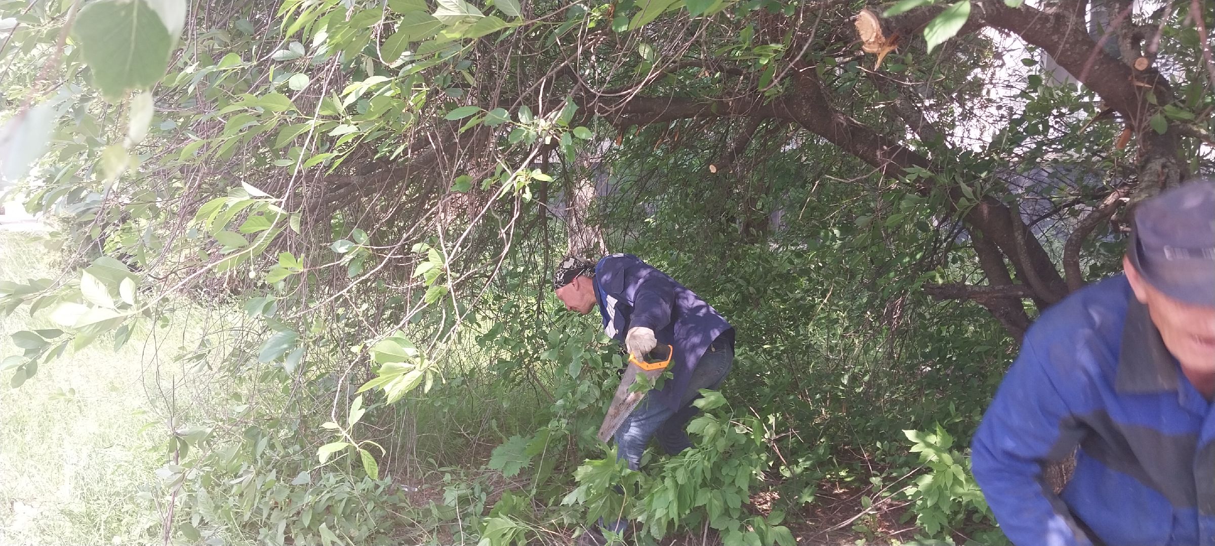 коломна, благоустройство, дгх