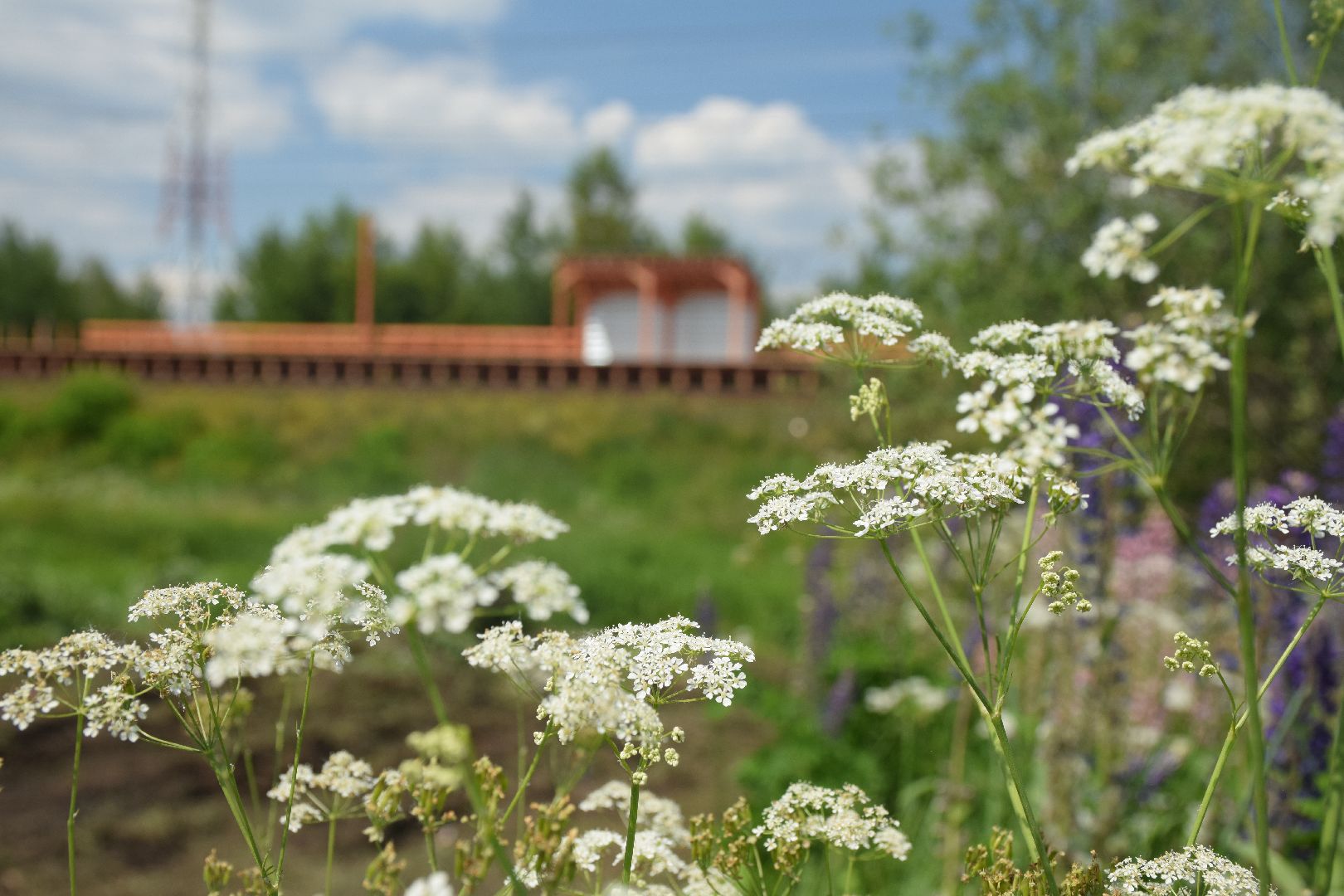 Павловский Посад, городской округ Павловский Посад, транспорт, станция, Вохна, строительство, ремонт
