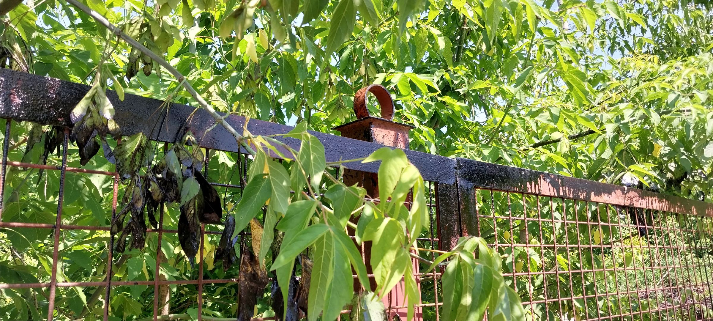 коломна, переход, железная дорога