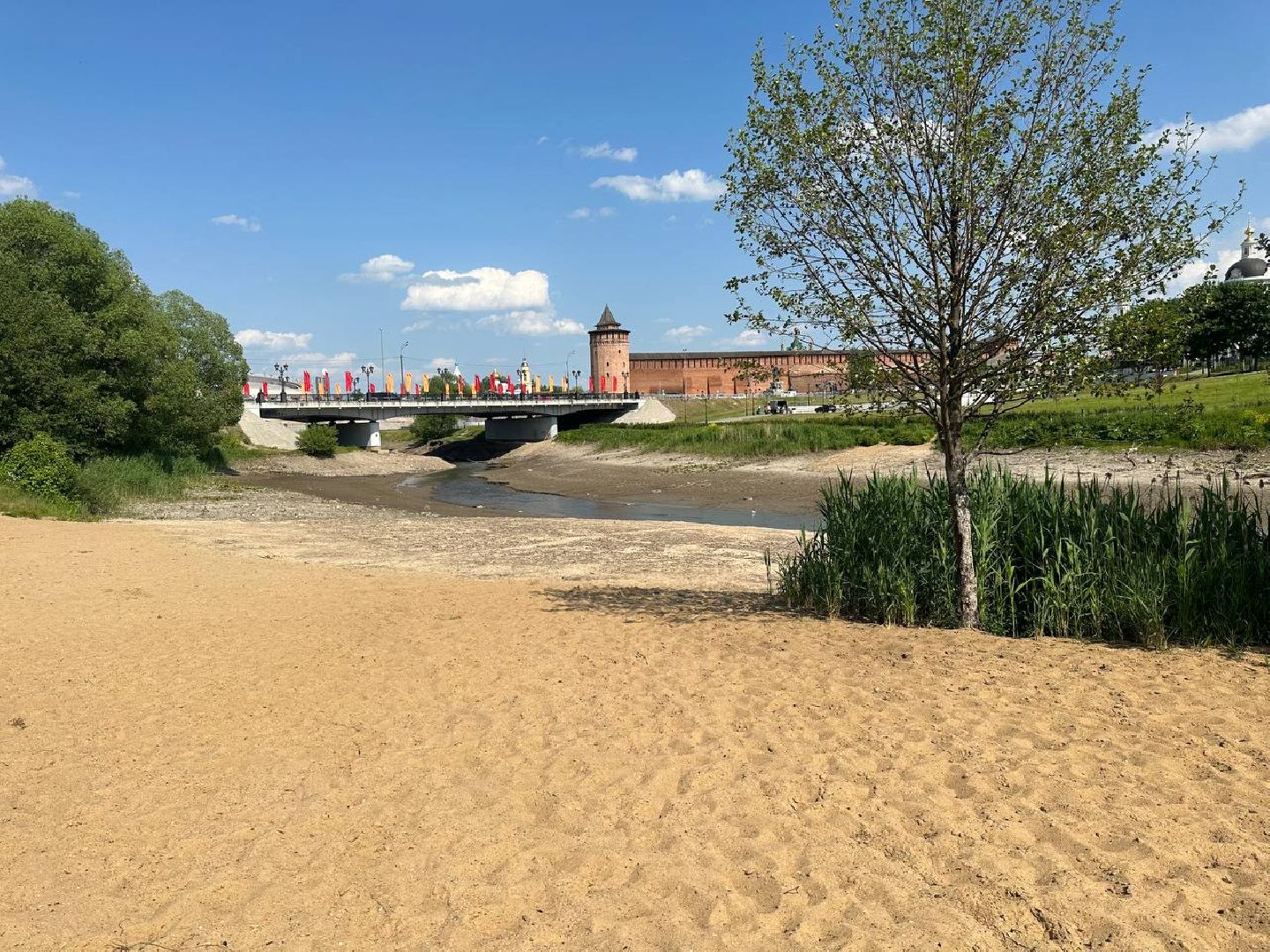 коломна, пляжный сезон, пляж