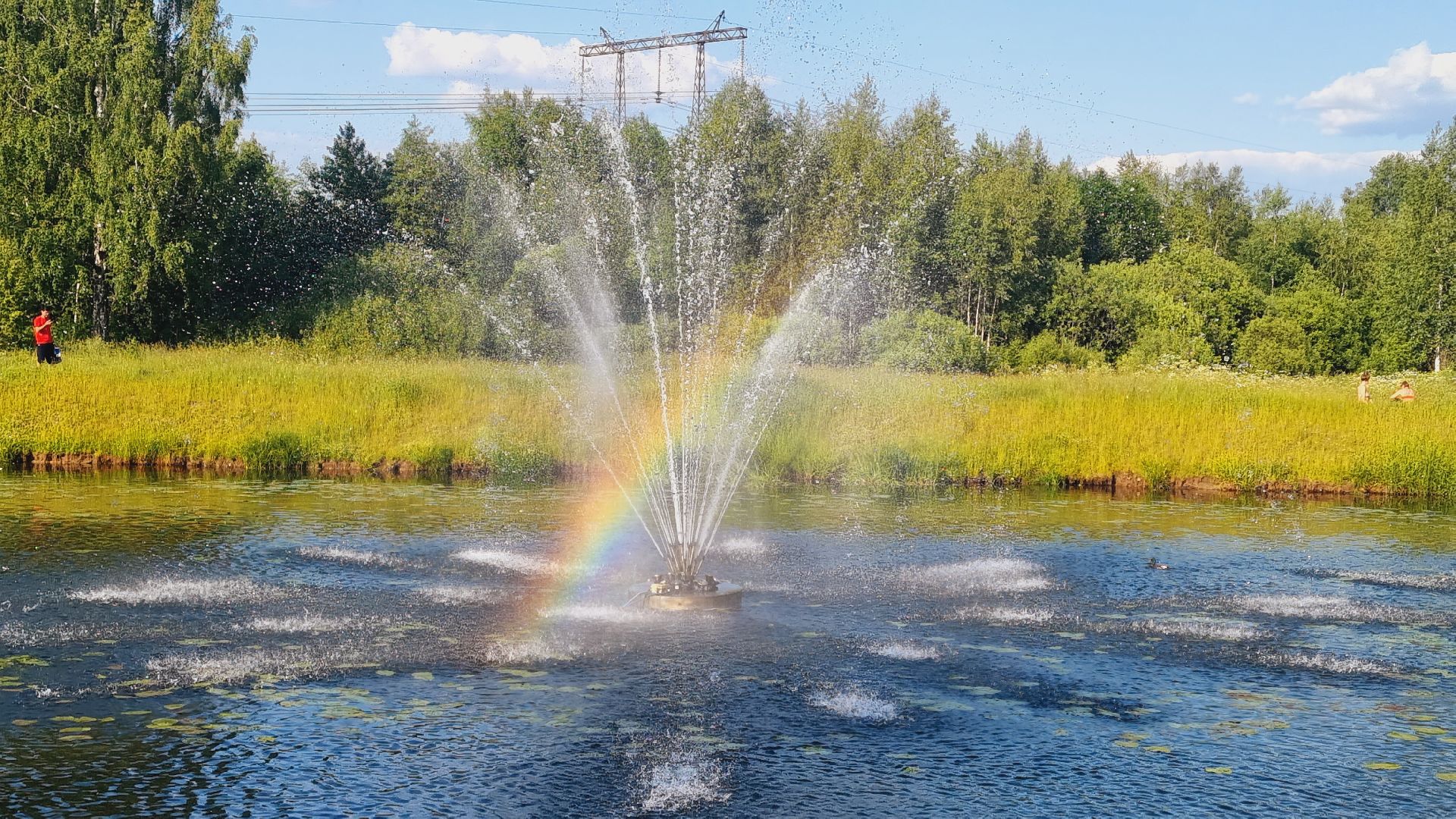 Подмосковье, Ивантеевка, образование, Умные каникулы