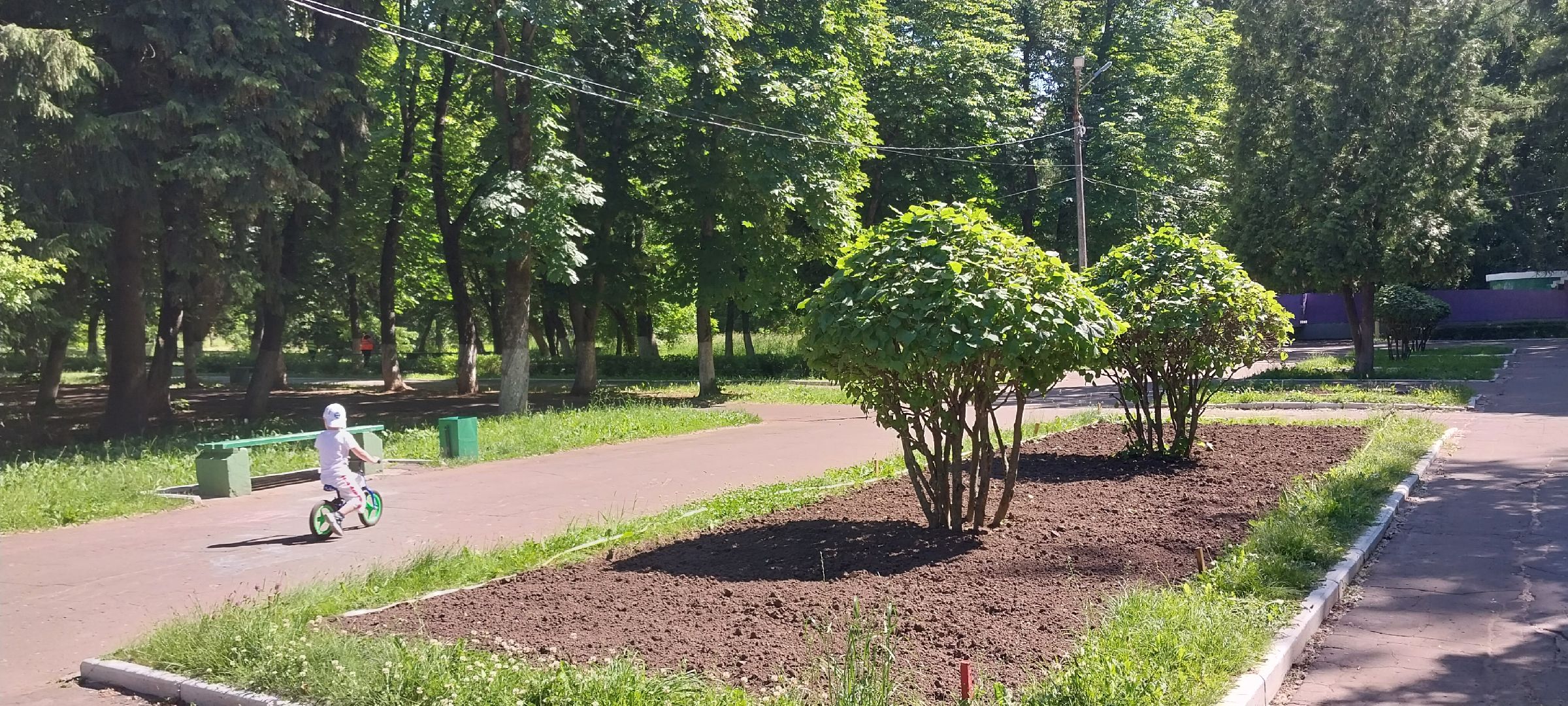 коломна, парк, цветочное оформление