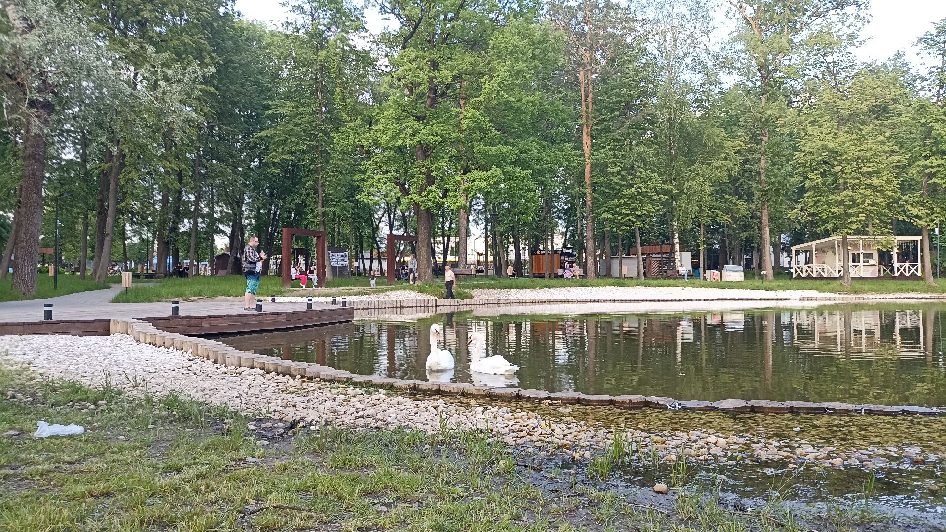 Серпухов, Подмосковье, парк, лебеди, пруд, отдых, семья