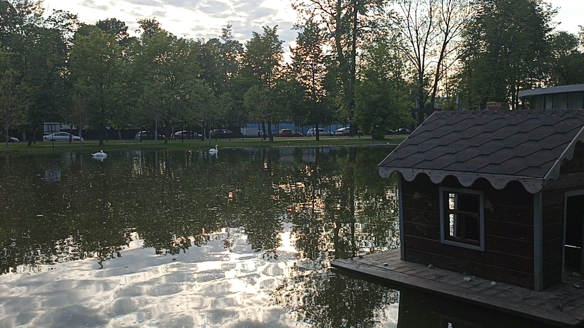Серпухов, Подмосковье, парк, лебеди, пруд, отдых, семья