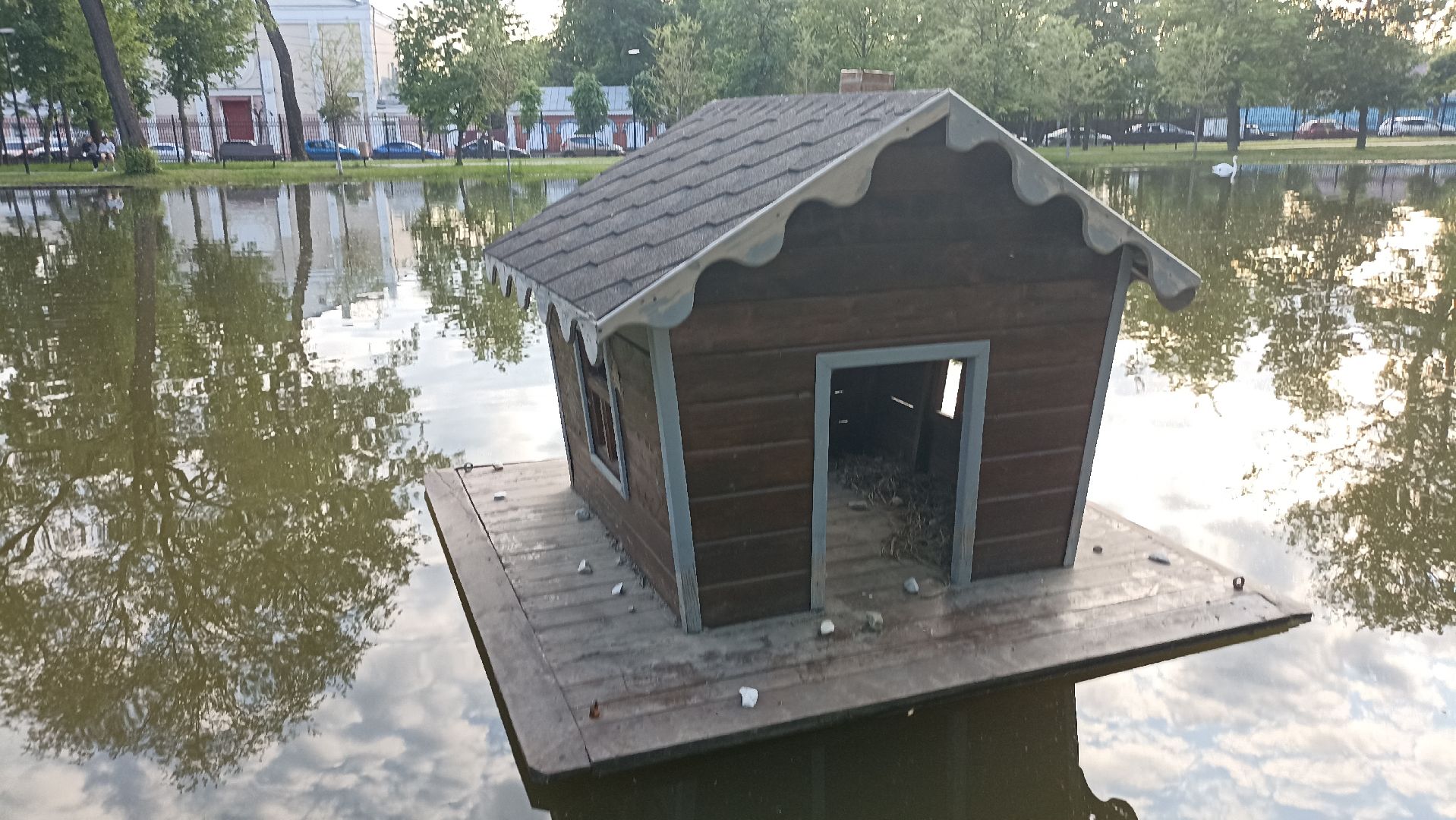 Серпухов, Подмосковье, парк, лебеди, пруд, отдых, семья