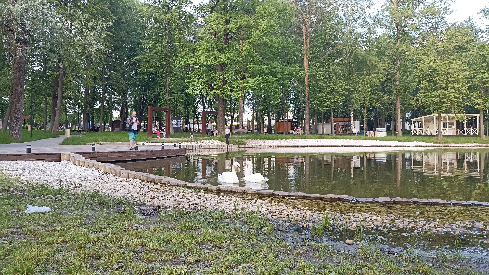 Серпухов, Подмосковье, парк, лебеди, пруд, отдых, семья