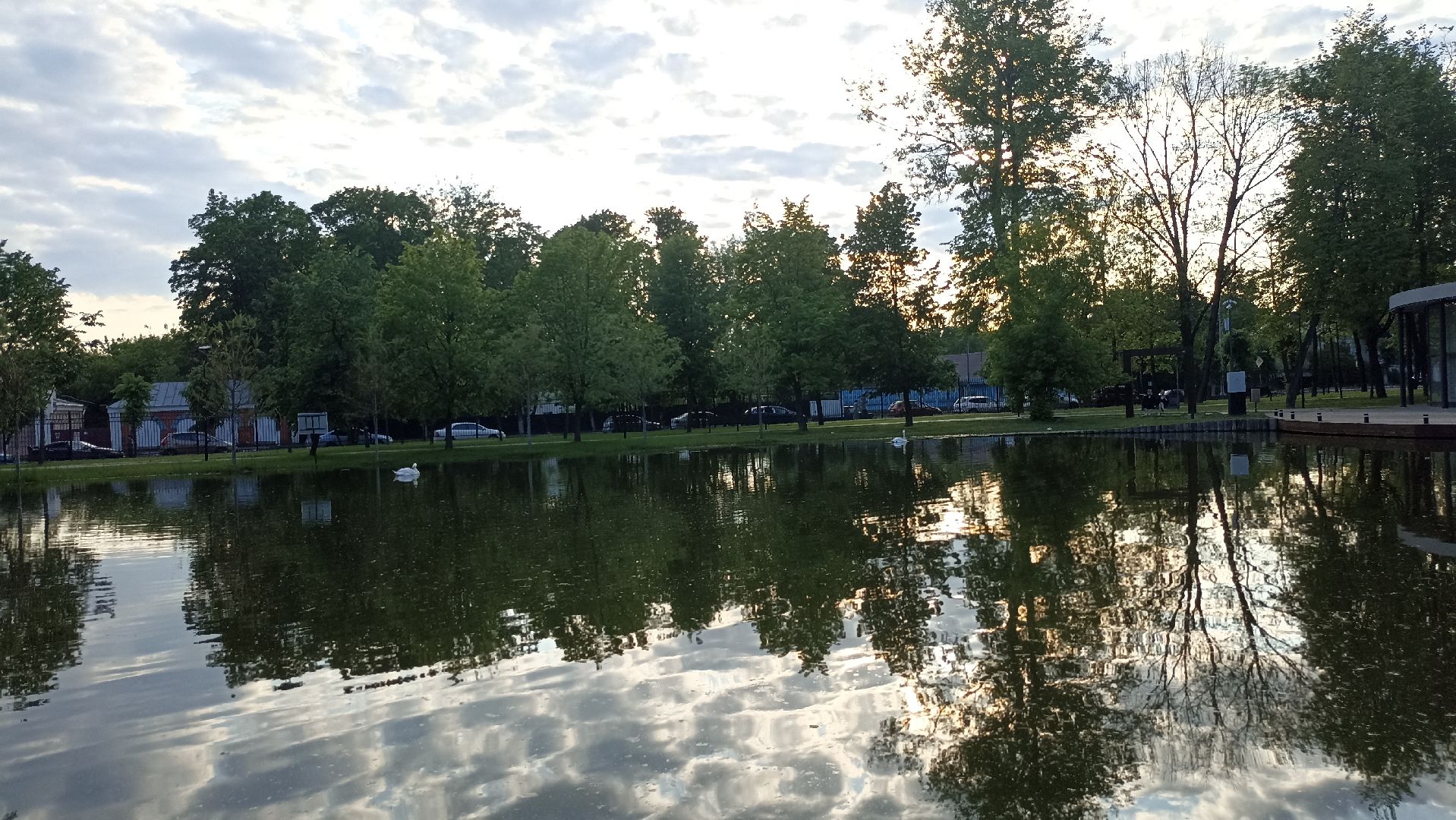 Серпухов, Подмосковье, парк, лебеди, пруд, отдых, семья