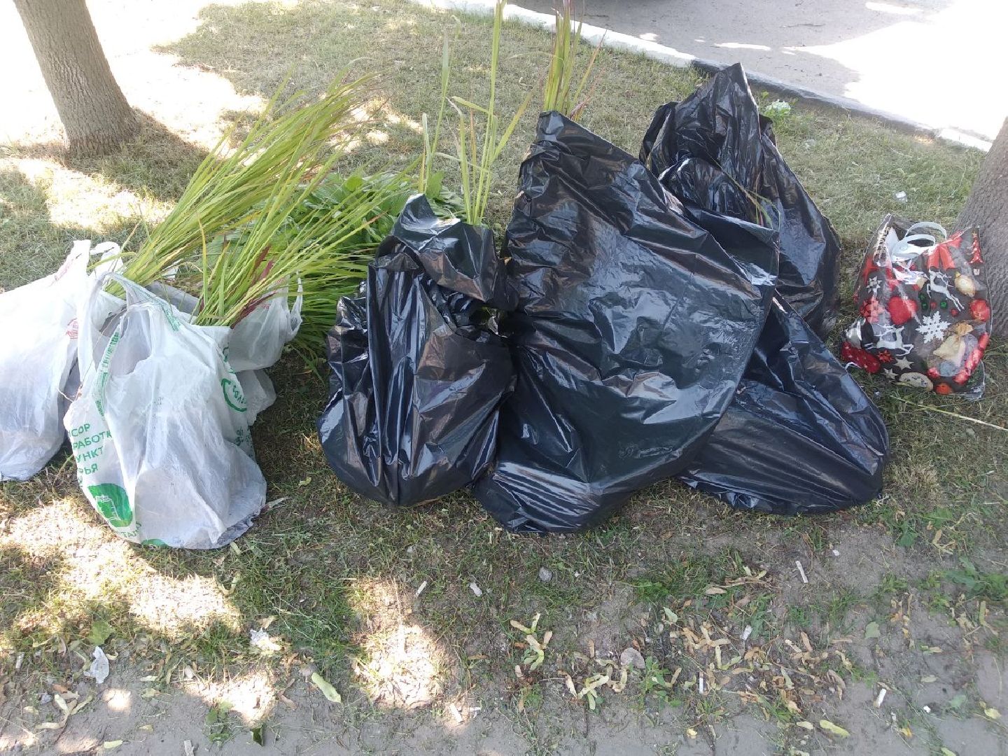 Дмитров, Озеленение, МКУ ЖКХ и благоустройство