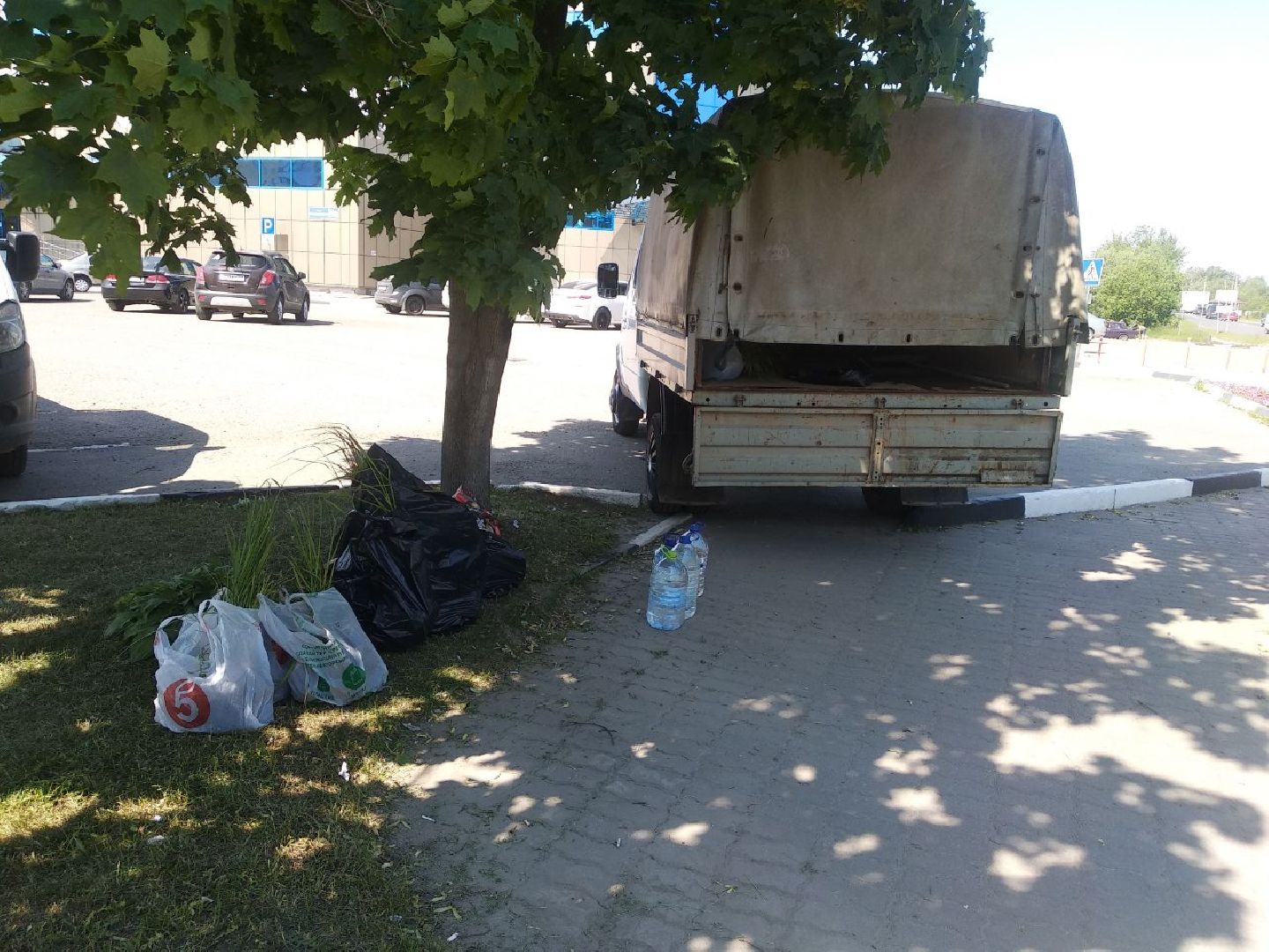 Дмитров, Озеленение, МКУ ЖКХ и благоустройство