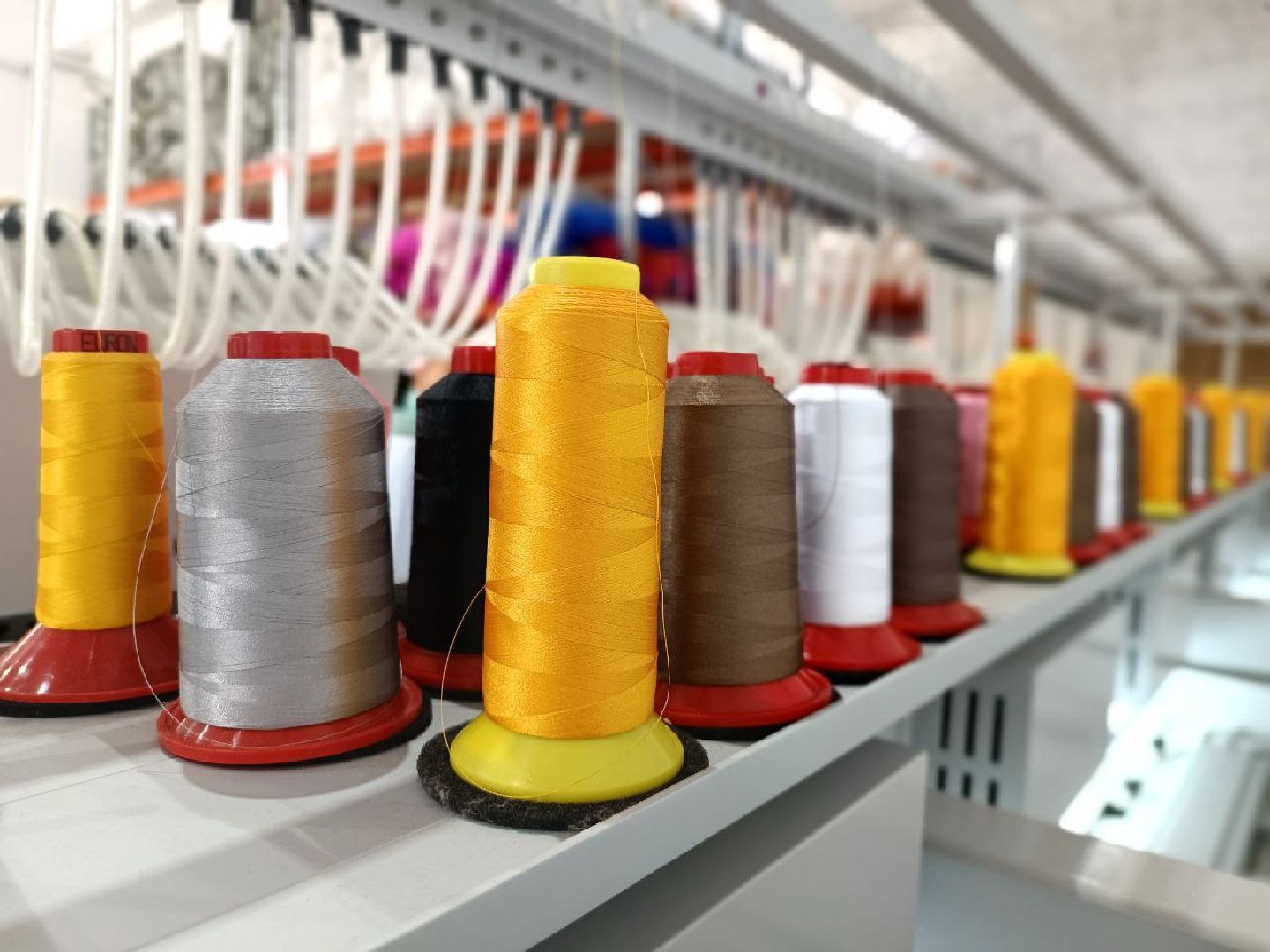 Можайск, Можайский городской округ, Подмосковье, игрушки, коты, производство, экономика, дизайнерские игрушки