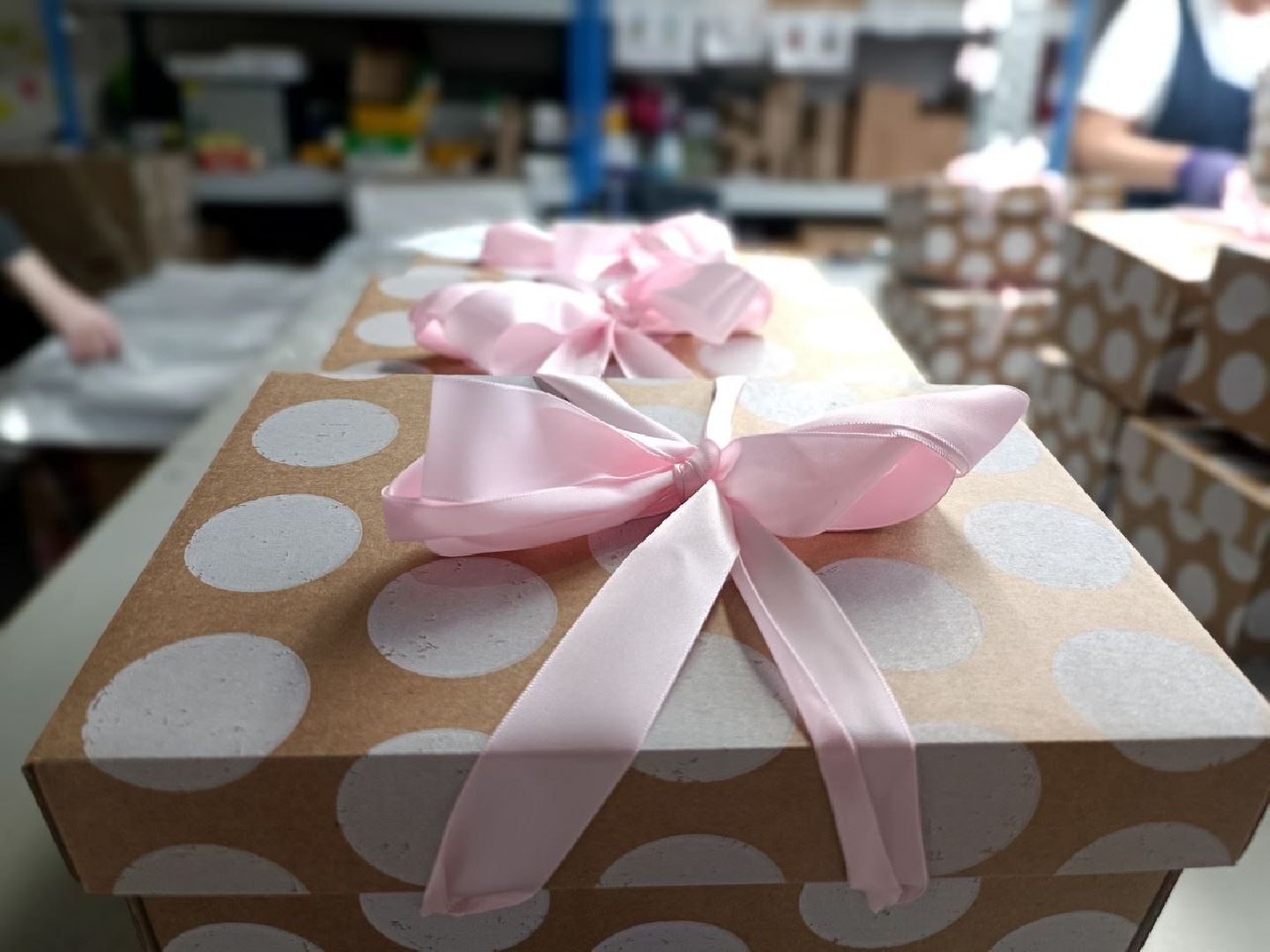 Можайск, Можайский городской округ, Подмосковье, игрушки, коты, производство, экономика, дизайнерские игрушки