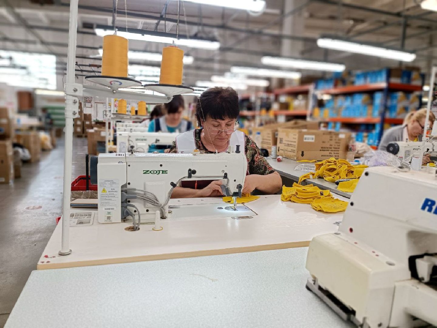 Можайск, Можайский городской округ, Подмосковье, игрушки, коты, производство, экономика, дизайнерские игрушки