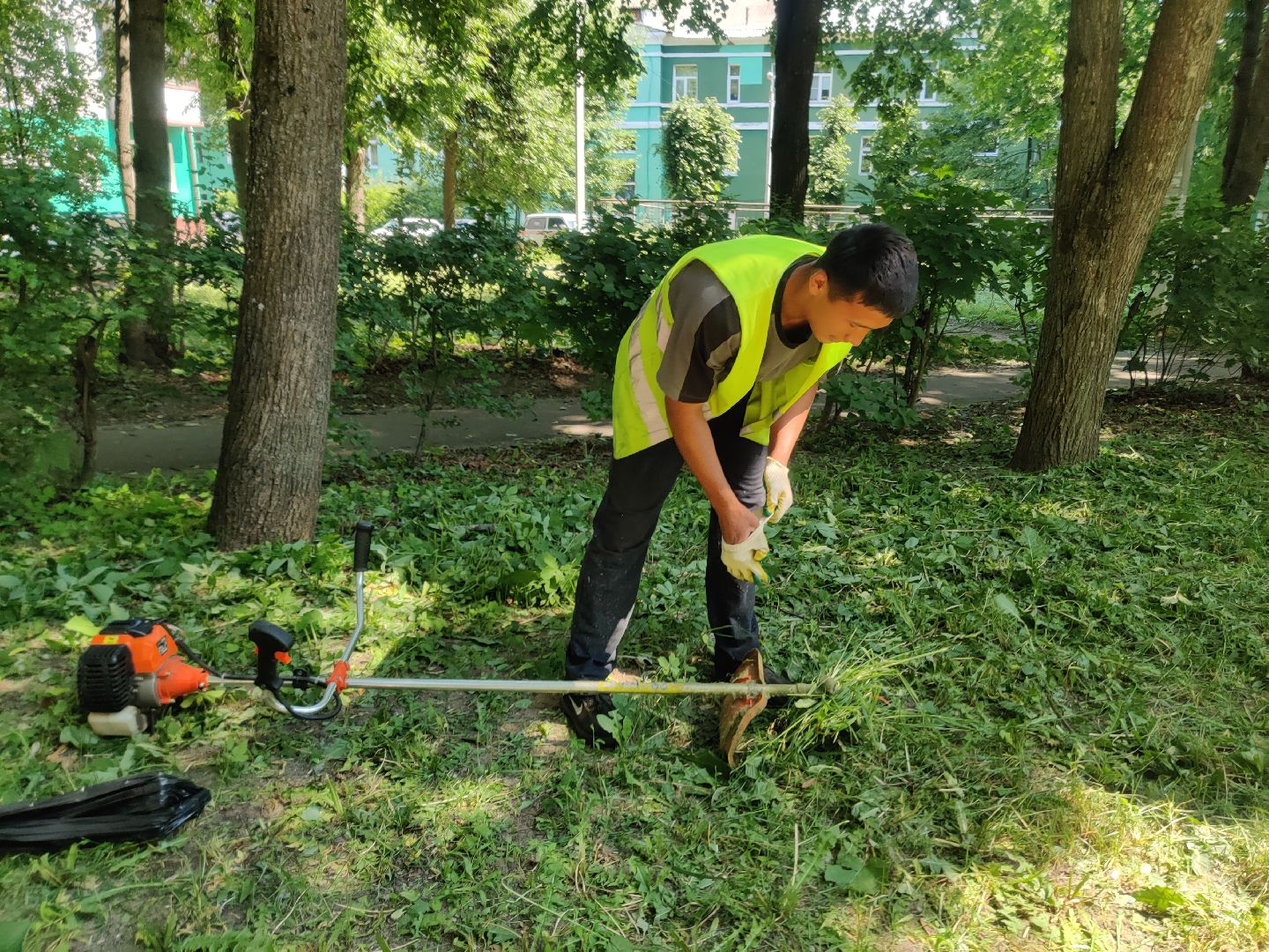 Красноармейск, Пушкинский, покос травы, содержание территорий, ГУСТ
