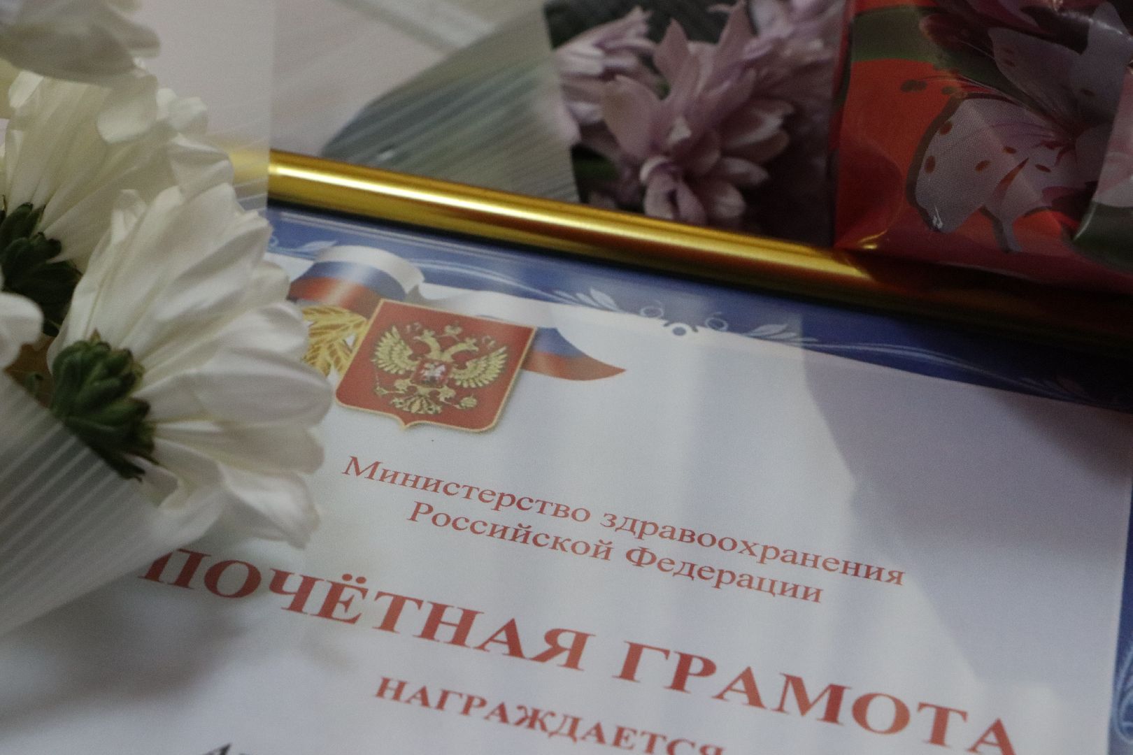 Серебряные Пруды, День медицинского работника