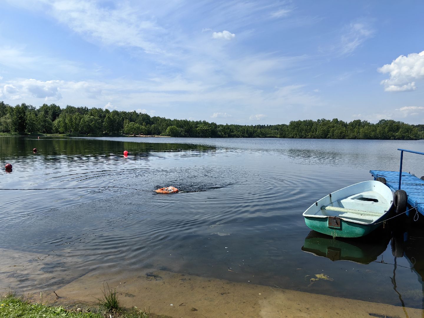 Служба спасения, водоём, лес, правила поведения