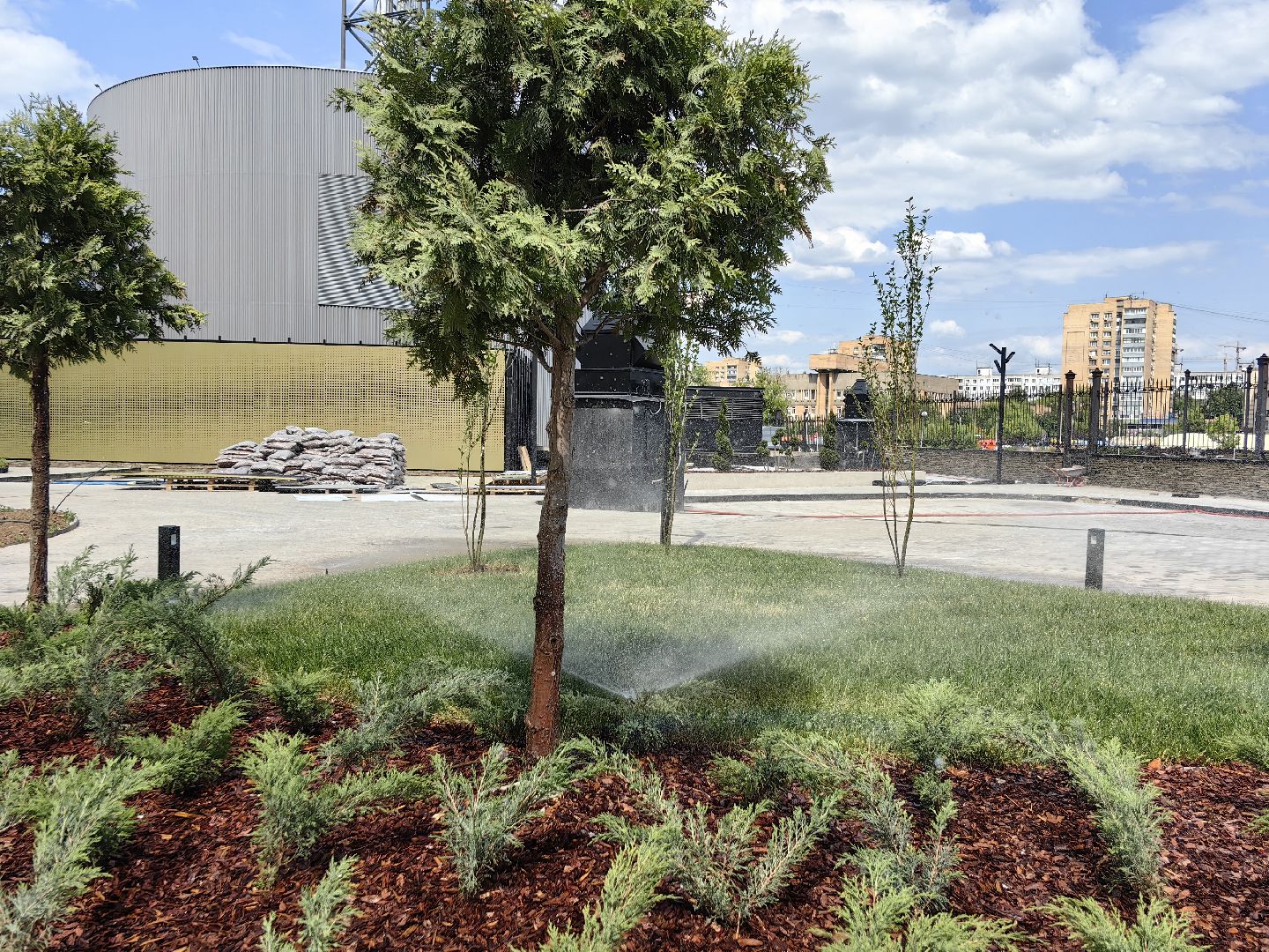 Деревья, цветы, озеленение, кустарники, территория, хвойные