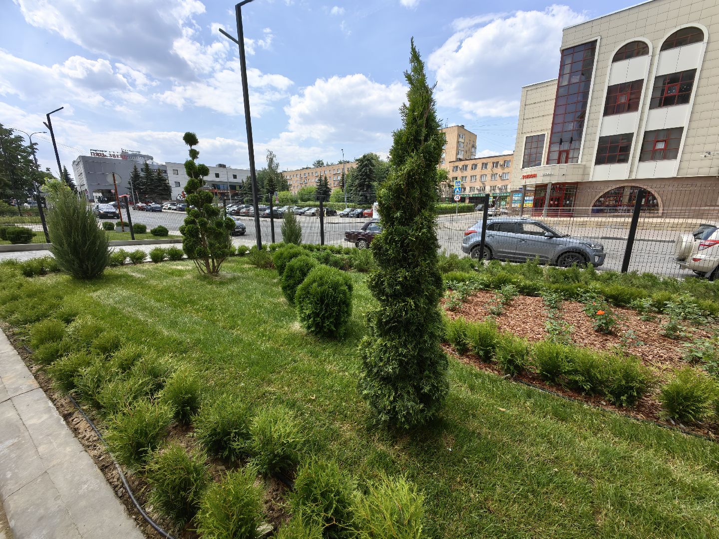 Деревья, цветы, озеленение, кустарники, территория, хвойные