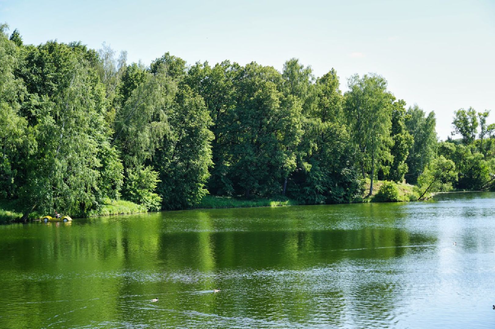 Сергиев Посад, Сергиево-Посадский городской округ, Жара, Лето, Лето в Подмосковье, Парки, Выходные, Культура, Дети