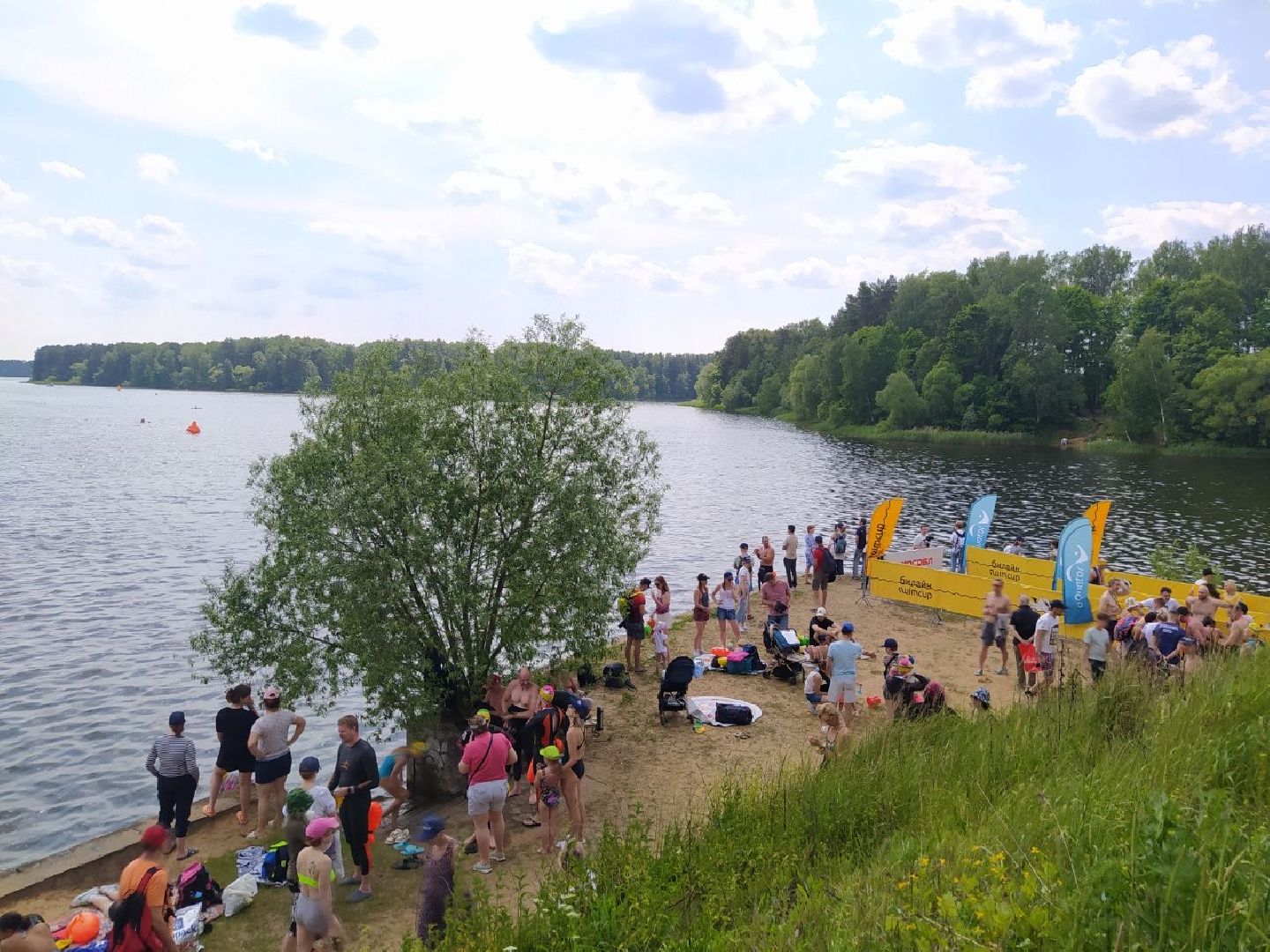 Истра, плавание, спорт, чемпионат, соревнование