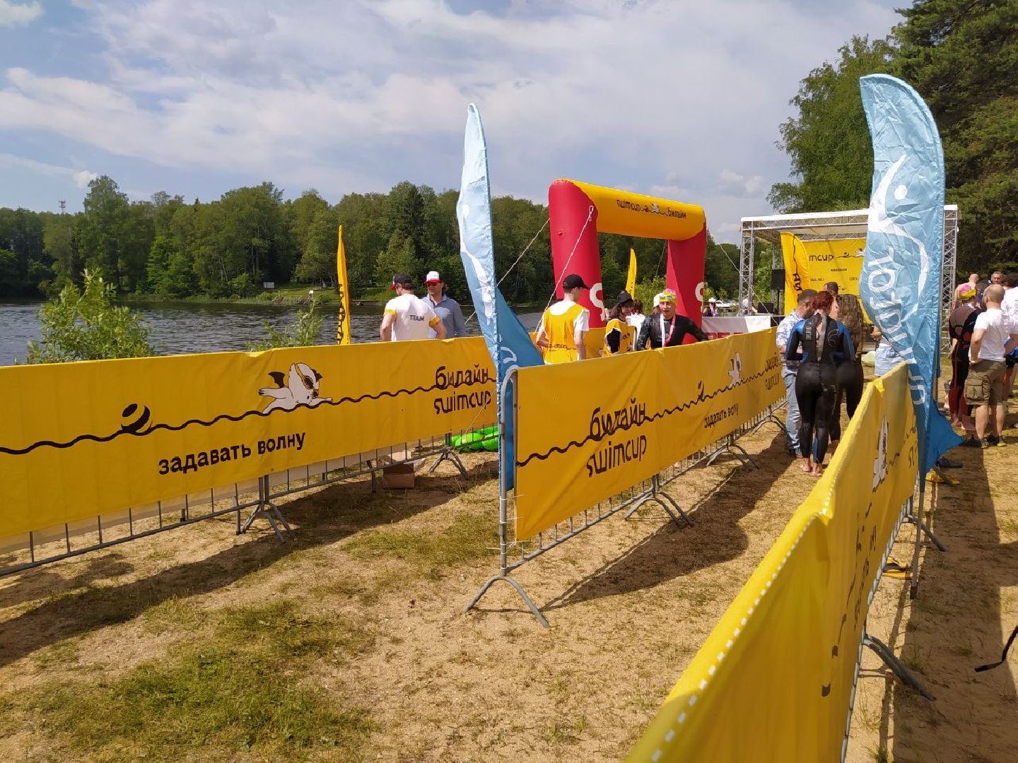 Истра, плавание, спорт, чемпионат, соревнование