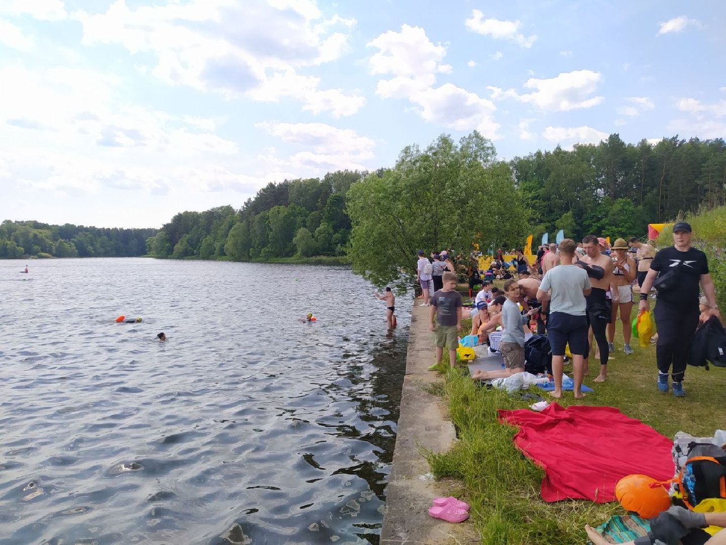 Истра, плавание, спорт, чемпионат, соревнование