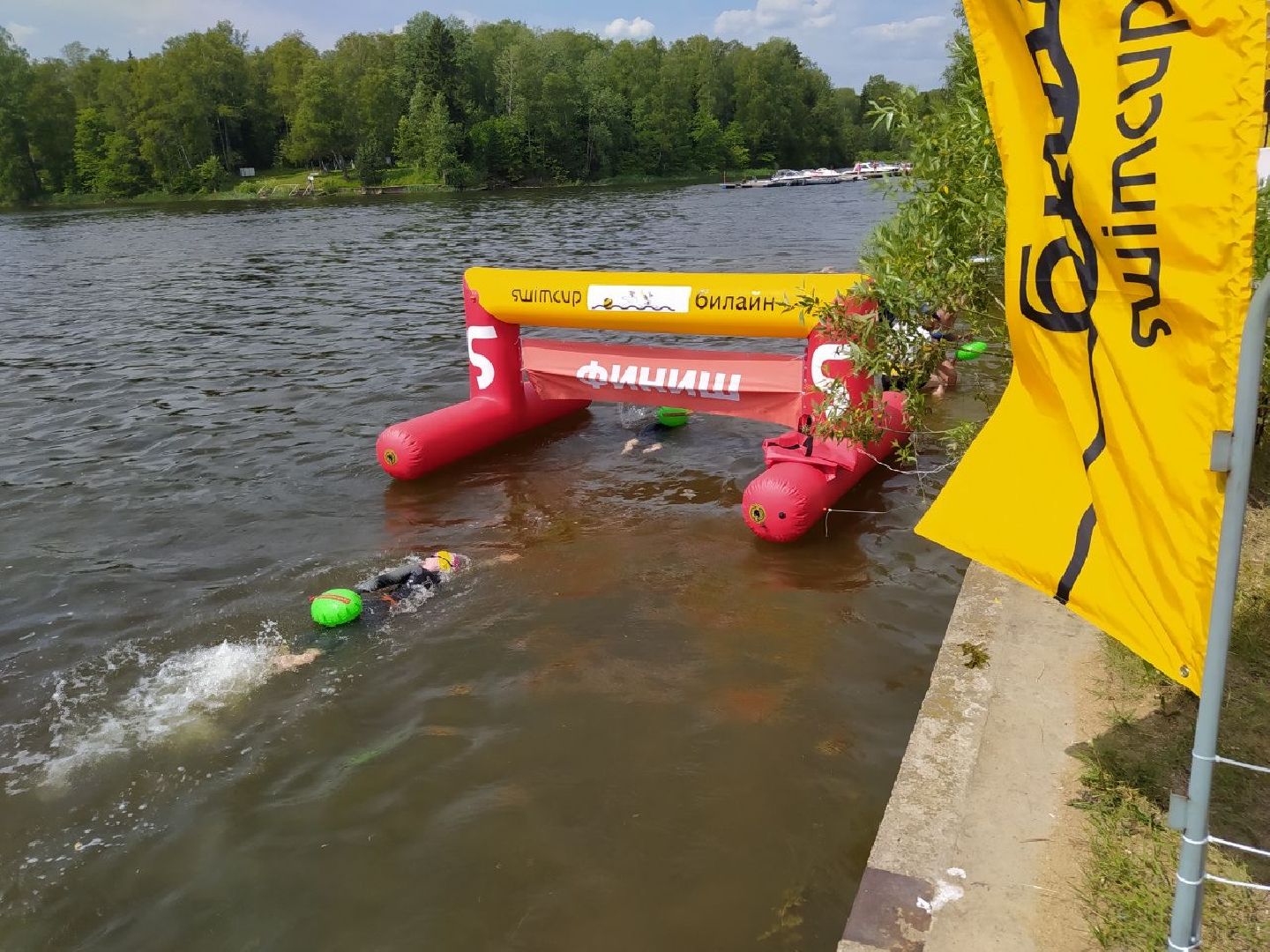 Истра, плавание, спорт, чемпионат, соревнование