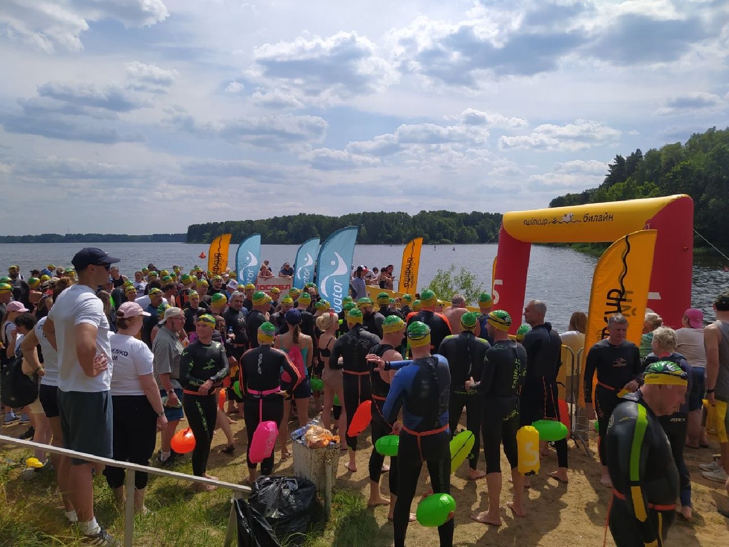 Истра, плавание, спорт, чемпионат, соревнование