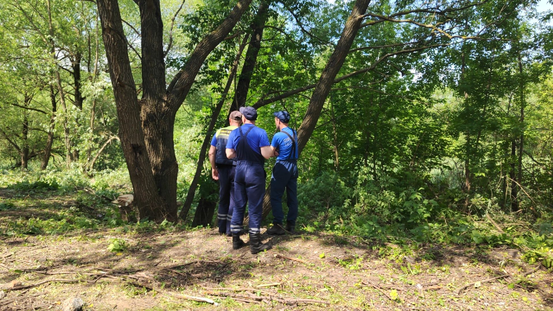 Пушкино, МЧС, экология, Вода России