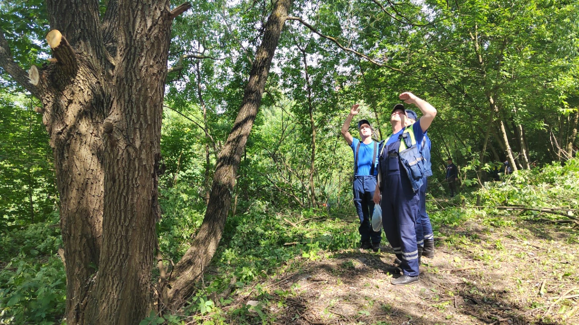 Пушкино, МЧС, экология, Вода России