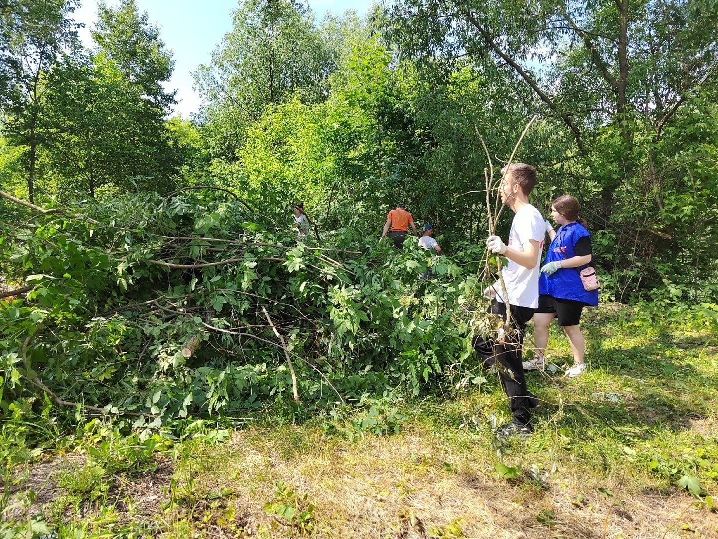 Пушкино, экология, молодежь, молодая гвардия, вода России, волонтеры