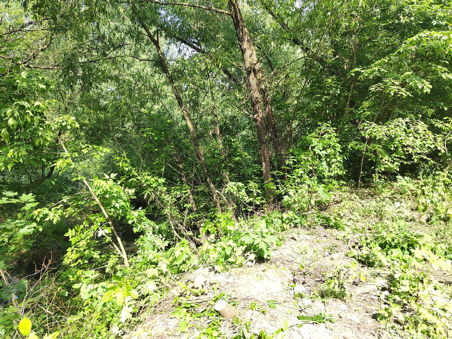 Пушкино, экология, молодежь, молодая гвардия, вода России, волонтеры