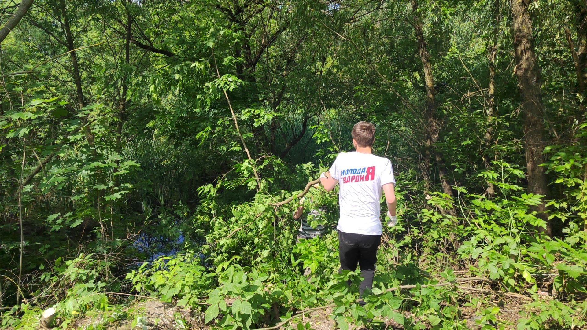 Пушкино, экология, молодежь, молодая гвардия, вода России, волонтеры