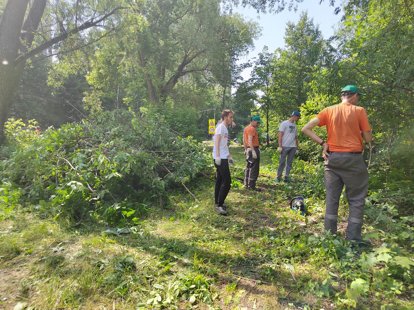 Пушкино, экология, молодежь, молодая гвардия, вода России, волонтеры
