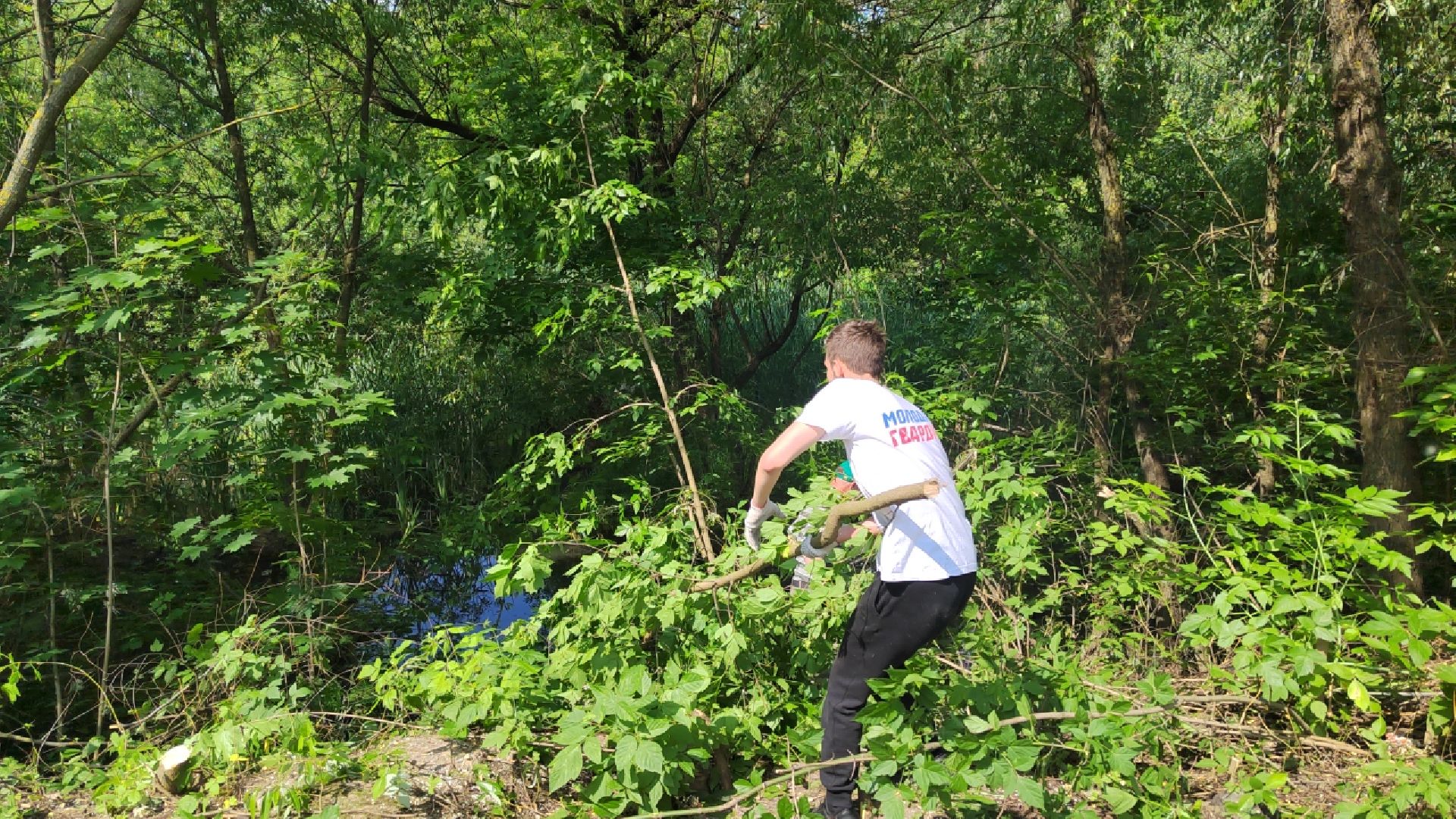 Пушкино, экология, молодежь, молодая гвардия, вода России, волонтеры