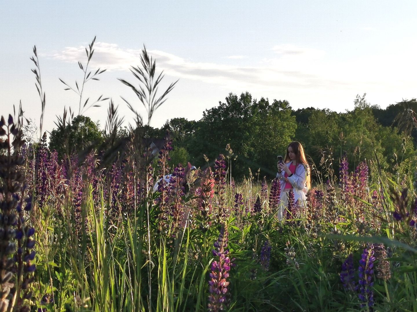 Подольск, туризм