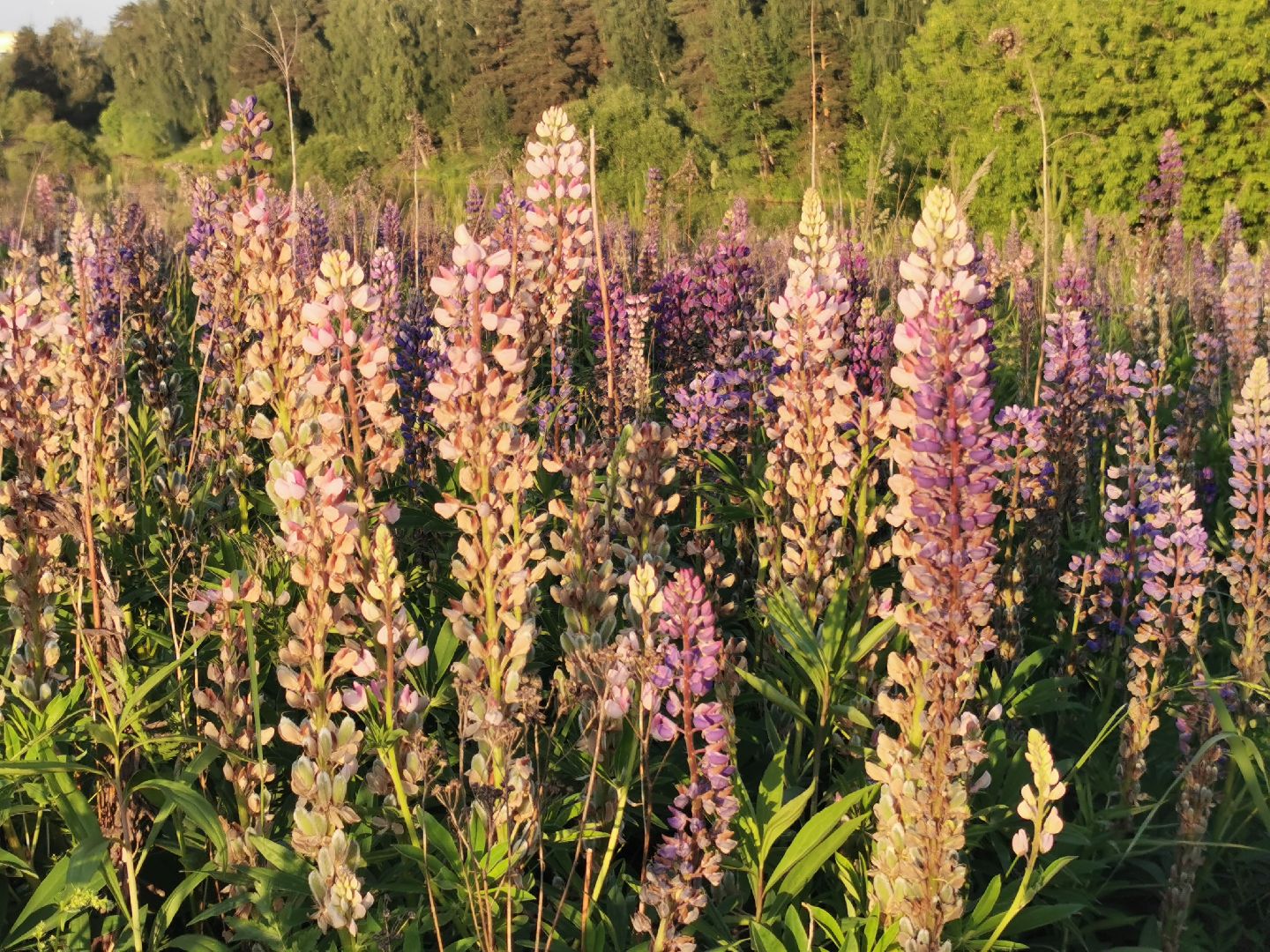 Подольск, туризм