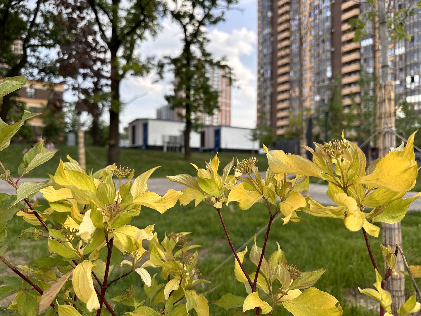 Одинцово, Парки Подмосковья, Классика