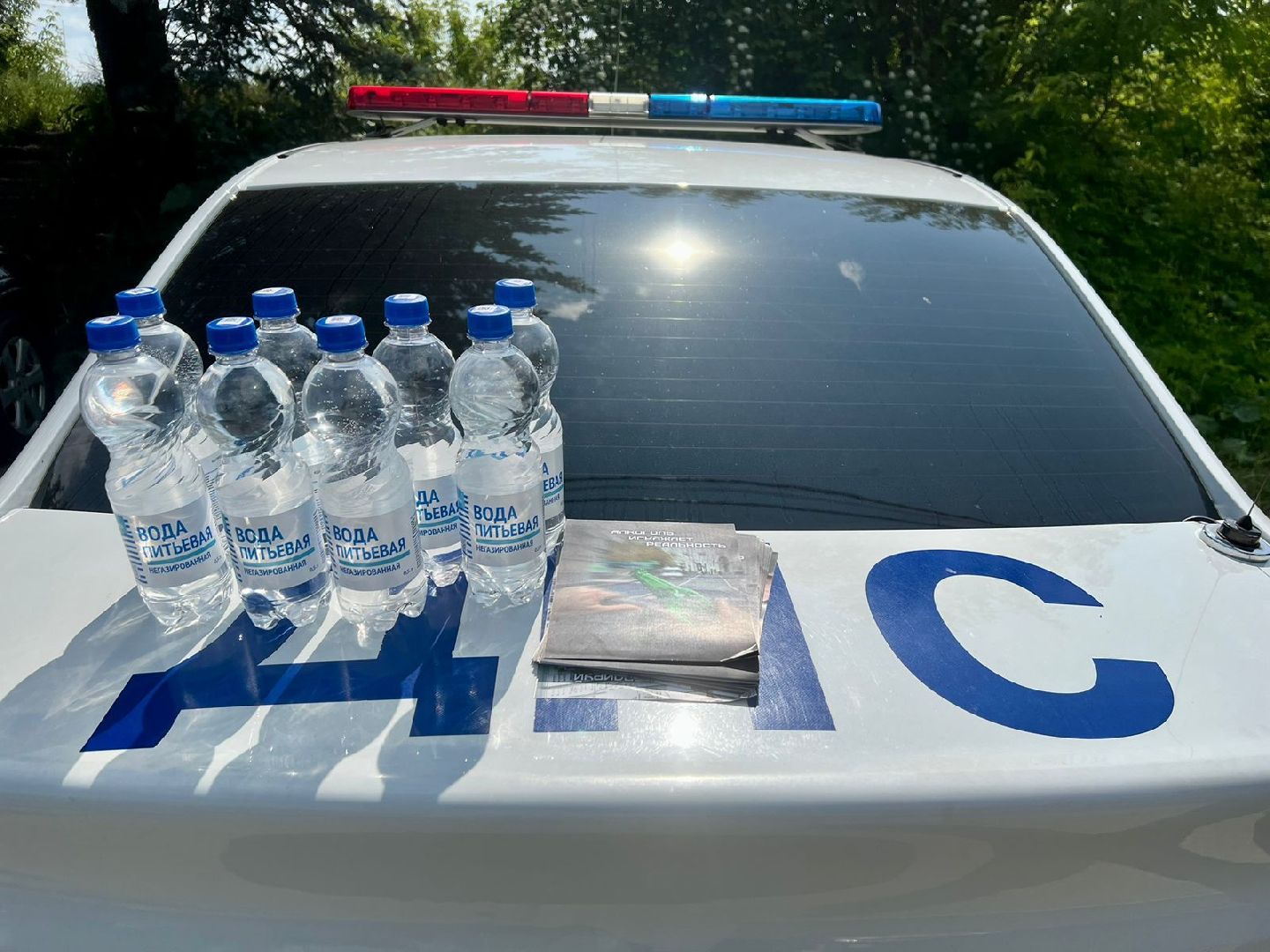 Госавтоинспекция, рейд, нетрезвый водитель, вода, Дубна