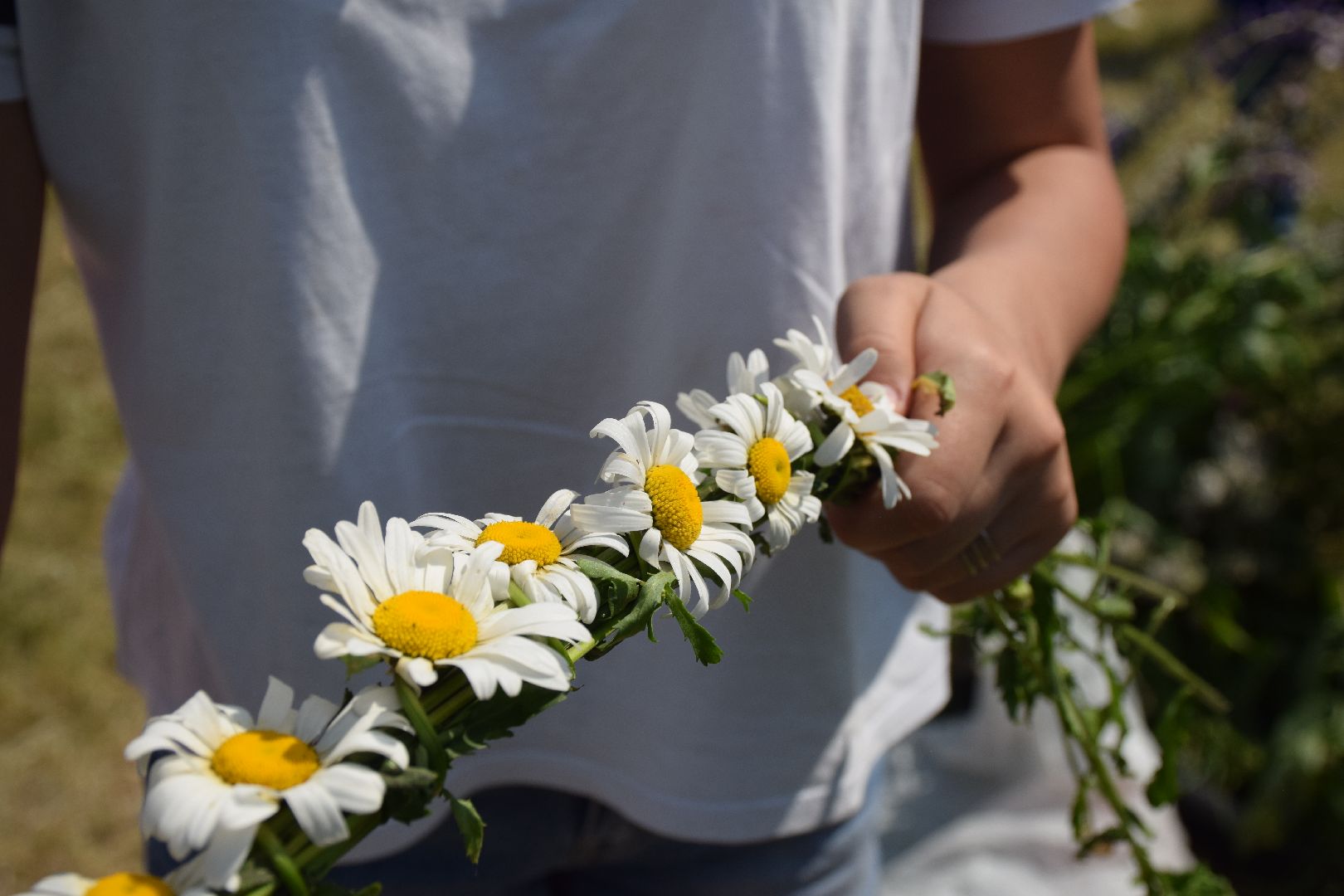 Павловский Посад, городской округ Павловский Посад, общество, люди, фестиваль, семья, традиции, венки