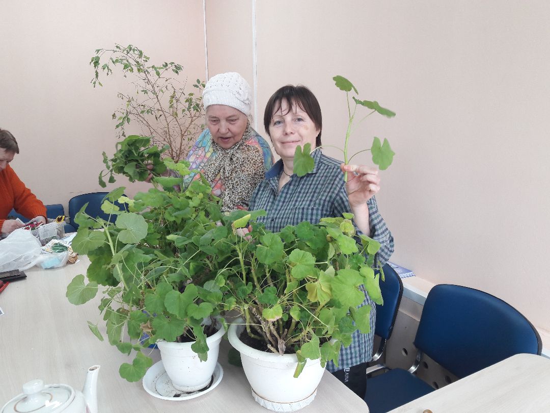 Руза, Сумароково, клуб садоводов, Рузское районное общество инвалидов, томаты